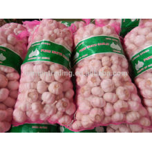 China Red Garlic Exporter